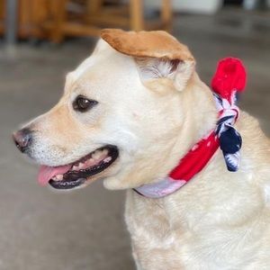 Meet your Posher, Jo ann